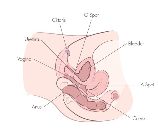 FD reccomend squirting orgasm tutorial