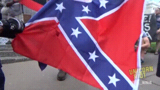 best of Confederate flag best