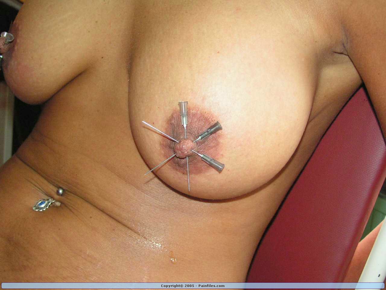 Senior reccomend pussy torture needle bdsm tattooed busty