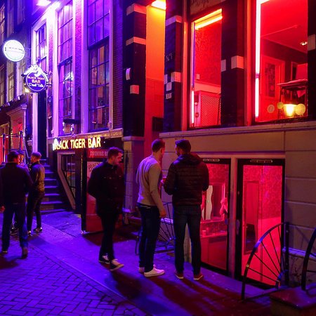 Xccelerator reccomend offbeat amsterdam light district walking tour
