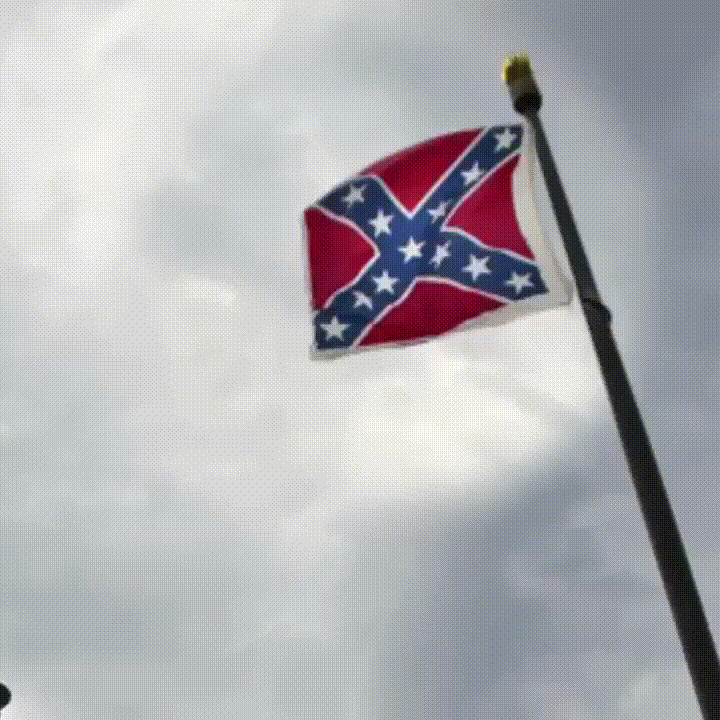 Light Y. reccomend best confederate flag