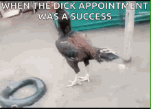 best of Appointment vina dick