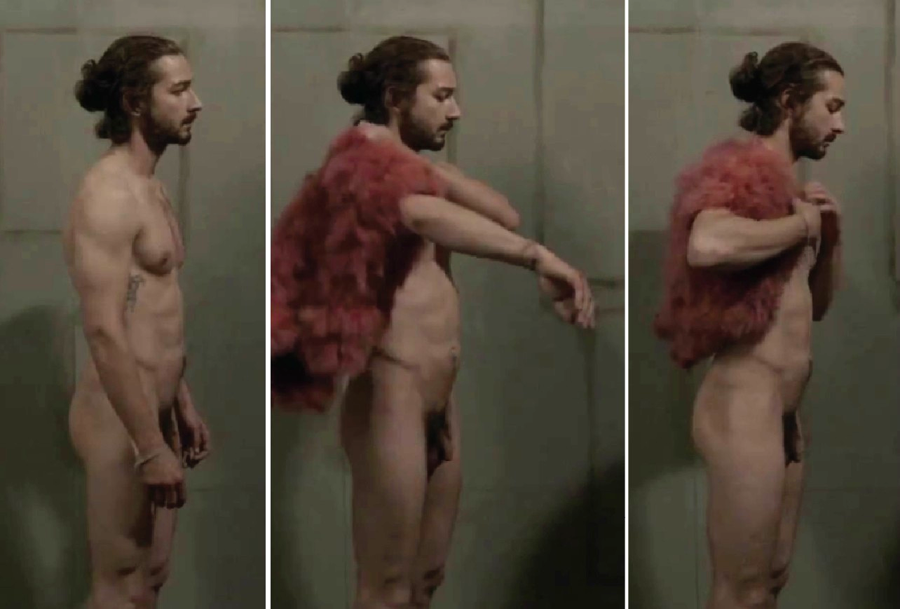 Shia labeouf becomes pony