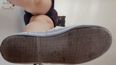 Guard reccomend giantess pick which shoe squash with